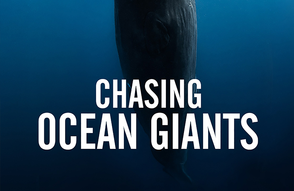 Chasing Ocean Giants thumbnail featuring a whale