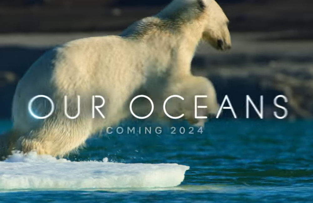 Our Oceans thumbnail featuring a polar bear