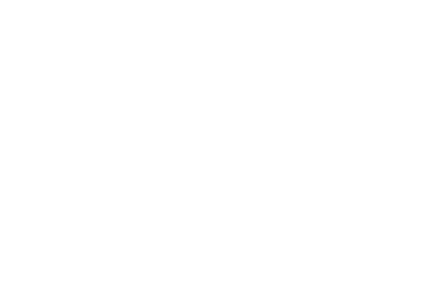 AN/OTHER film festival 2024